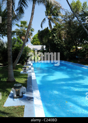 La piscina nel cortile della casa di Hemingway a Key West, Florida. Foto Stock