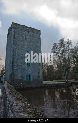 Thoor Ballyle. Yeats estate home. Gort. Contea di Galway. L'Irlanda. Foto Stock