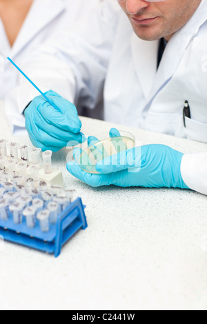 Scienziato maschio mantenendo i campioni Foto Stock