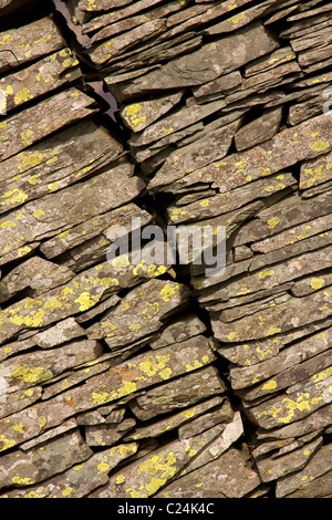 Unisciti al vecchio muro di ardesia in pietra a secco su Lingmoor Fell, Lake District, Cumbria, Inghilterra, Regno Unito Foto Stock