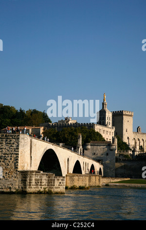 Vista su Saint Benezet Bridge, Palais des Papes e Rodano, Avignon Vaucluse Provence, Francia. Foto Stock