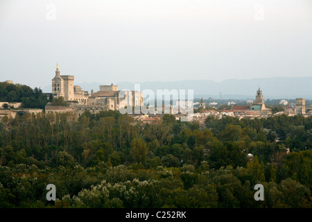 Vista su Avignone e il Palais des Papes da Fort San Andre in Villeneuve les Avignon Vaucluse Provence, Francia. Foto Stock