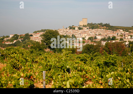Vista su Chateauneuf du Pape e vigneti circostanti, Vaucluse Provence, Francia. Foto Stock