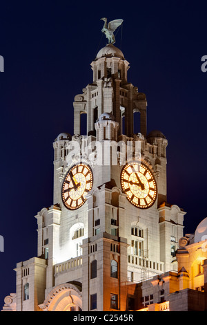 La Torre dell Orologio e fegato Bird al Liver Building al Pier Head, Liverpool Foto Stock