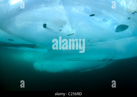 Ice-immersioni nel lago Baikal, Siberia, Russia, isola di Olkhon. Foto Stock