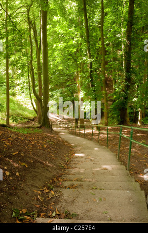 Alani Dyke vicino a Flamborough, East Yorkshire Foto Stock