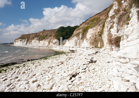 Chalk scogliere a dighe End, vicino a Flamborough, East Yorkshire Foto Stock