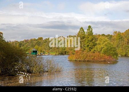 Golden Acre Park Foto Stock