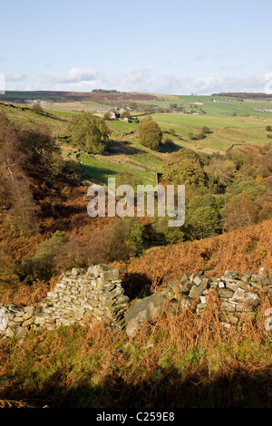 Vista di terreni agricoli lungo il Bronte modo appena al di sopra della cascata di Bronte Foto Stock