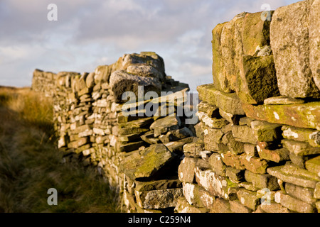 Vista su Haworth Moor vicino al Top ambiti su del The Pennine Way Foto Stock