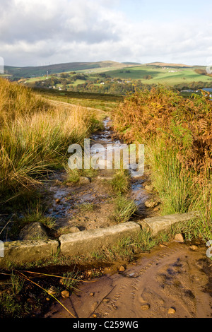 Il percorso sul bordo Langfield Foto Stock