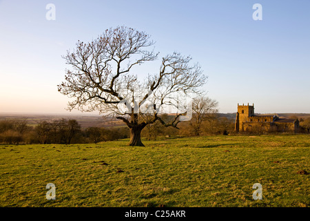 Albero in campo e il restaurato esterno con la sua torre dell'orologio della chiesa di Tutti i Santi sul Viking in modo Walesby Foto Stock