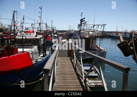 Barche da pesca & MARINA ST. Francesco Harbour Eastern Cape SUD AFRICA 26 Gennaio 2011 Foto Stock