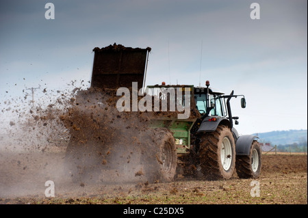 Spargimento del concime organico con un Valtra T151 trattore, su un campo per essere piantato a granturco. Foto Stock