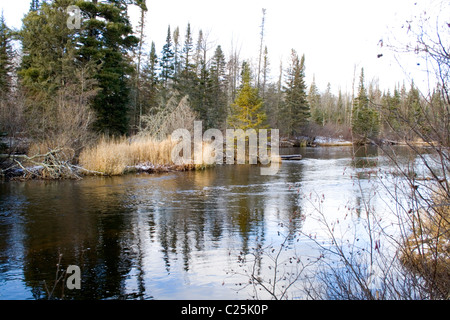 Incontaminato lago di acqua dolce circondato da alberi sempreverdi e nessun segno di civiltà. Cavo WI Wisconsin USA Foto Stock