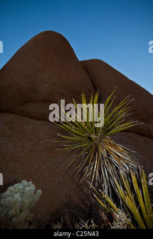 Jumbo area Rock al crepuscolo a Joshua Tree National Park, ventinove Palms, CA. Foto Stock