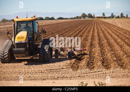 Trattore agricolo aratri un campo nella Valle Imperiale Niland, CA. Foto Stock