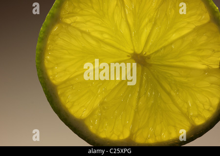 Fettina di limone, calce, fotografato in close-up Foto Stock