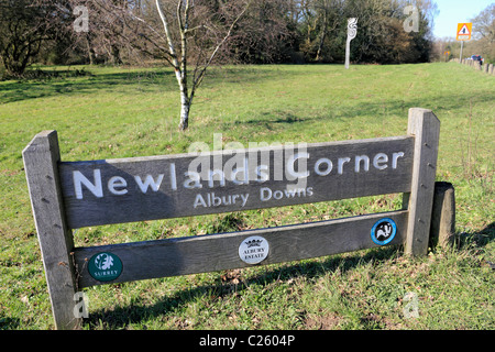 Newlands Corner su Albury giù parte del North Downs vicino a Guildford, Surrey, Inghilterra, Regno Unito Foto Stock