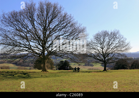 Newlands Corner su Albury giù parte del North Downs vicino a Guildford, Surrey, Inghilterra, Regno Unito Foto Stock