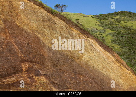 Una vista in sezione trasversale di collina, che mostra gli strati differenti tipi di suolo e rock - California USA Foto Stock