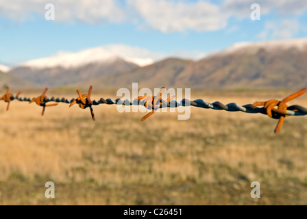 Nuova Zelanda paese alto filo spinato Foto Stock