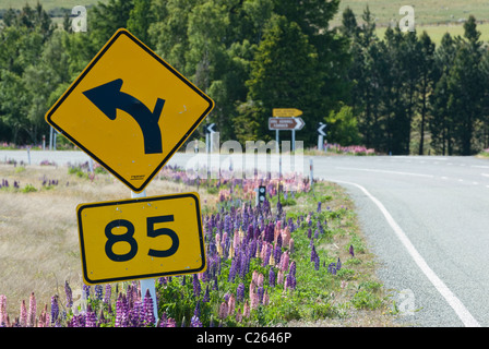 85 km/h a sinistra girare a velocità segno di avvertimento, lupini dal lato della strada Foto Stock