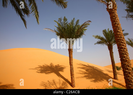 Rub'Al-Khali deserto, chiamato anche Empty Quarter, il più grande deserto di sabbia .enormi dune di sabbia. Abu Dhabi, Emirati Arabi Uniti Foto Stock