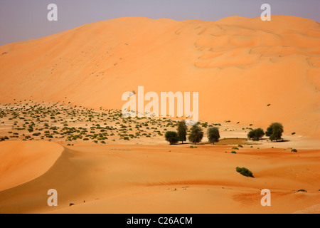 Rub'Al-Khali deserto, chiamato anche Empty Quarter, il più grande deserto di sabbia .enormi dune di sabbia. Abu Dhabi, Emirati Arabi Uniti Foto Stock