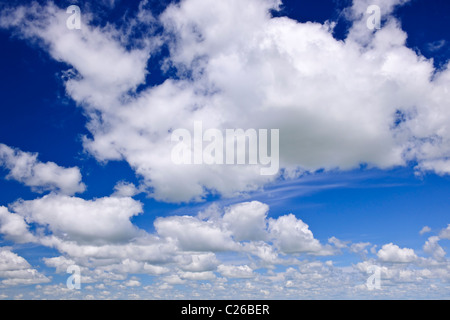 Sullo sfondo di un cielo blu con il bianco cumulus nubi Foto Stock