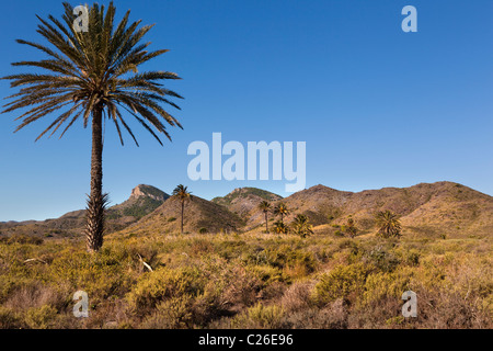 Mountainrock del Cabezo de la Fuente (336 m.), Calblanque, Murcia, Spagna Foto Stock