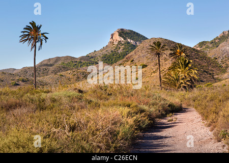 Il sentiero che conduce alla mountainrock del Cabezo de la Fuente (336 m.), Calblanque, Murcia, Spagna Foto Stock