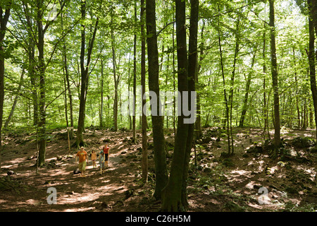 Famiglia passeggiate nella foresta di faggio Fageda d'en Jorda Olot Garrotxa regione Catalunya Spagna Foto Stock