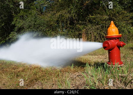 Idrante di fuoco sgorga un acqua mentre in fase di manutenzione e test Foto Stock