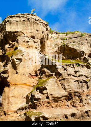 Scogliere di arenaria di Castle Rock in Nottingham City Centre Inghilterra REGNO UNITO Foto Stock