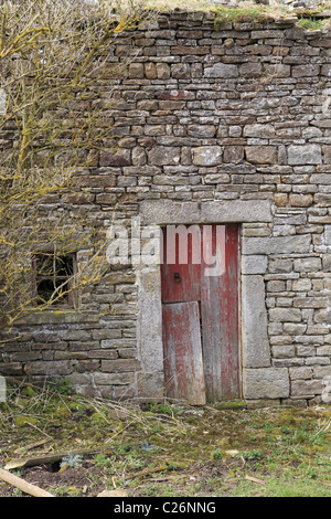 Edifici agricoli abbandonati vicino Stanhope a Weardale, Inghilterra nord-orientale, Regno Unito Foto Stock