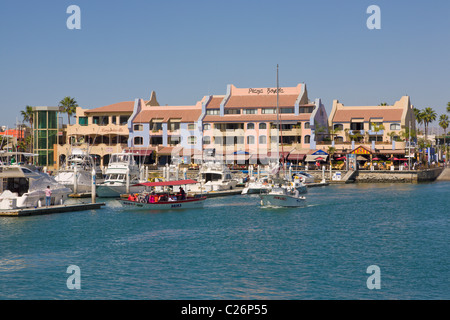 Porto di Cabo San Lucas, Baja California, Messico Foto Stock