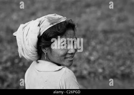 Ritratto di una giovane donna dalla tribù Mishing, Majuli Island, Assam, India Foto Stock