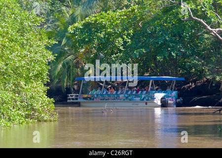 Mangrove crociera sul fiume, Tarcoles River, Nicoya peninsula, Costa Rica Foto Stock