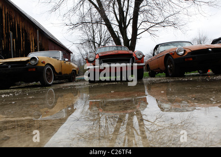 MG British Sportscar si siede prima della vendita all'asta accanto ad un fienile in Indiana rurale. auto sportiva Foto Stock