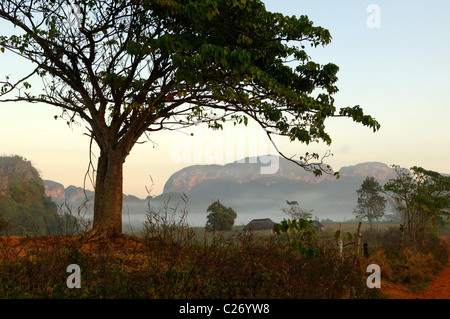 Panorami e scene di strada di Vinales e il Vinales Valley Cuba Foto Stock