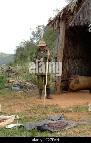 Panorami e scene di strada di Vinales e il Vinales Valley Cuba Foto Stock