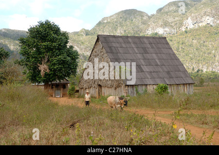 Panorami e scene di strada di Vinales e il Vinales Valley Cuba Foto Stock