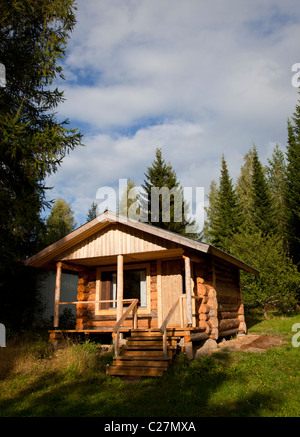 Facciata di una piccola e semplice capanna di legno nella foresta in estate, Finlandia Foto Stock