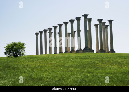 L'originale colonne di arenaria del Campidoglio sul display nella National Arboretum, Washington DC. Foto Stock