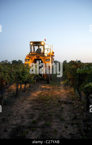 Mietitrebbia su un vigneto in Castell del Remei LLeida Spagna Foto Stock