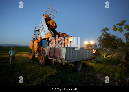 Mietitrebbia su un vigneto in Castell del Remei LLeida Spagna Foto Stock