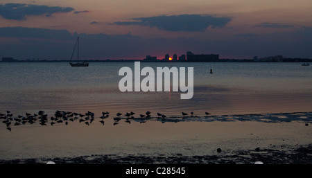Key Biscayne al tramonto, Florida, Stati Uniti d'America Foto Stock