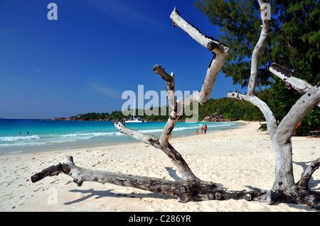 Anse Lazio, Isola di Praslin, Seychelles. Foto Stock