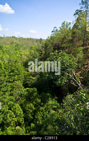 Il resto delle tasche di tropicale monsone di foresta pluviale riempire le sue aspre gole. Foto Stock